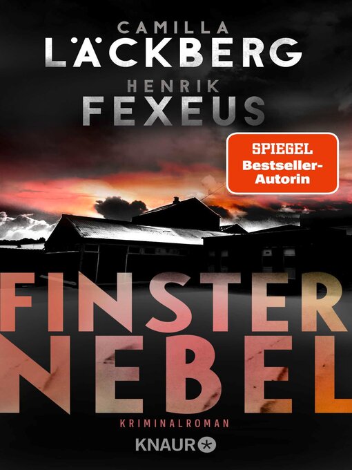 Title details for Finsternebel by Camilla Läckberg - Available